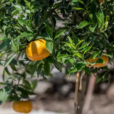 Apartament Residenza La Zagara *