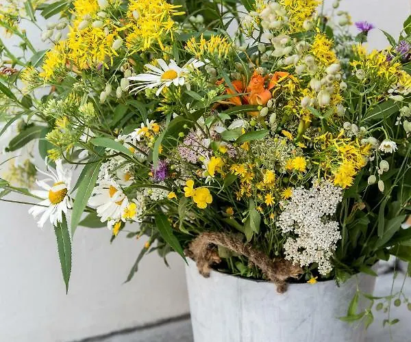 Appartement Residenza La Zagara Cannero Riviera